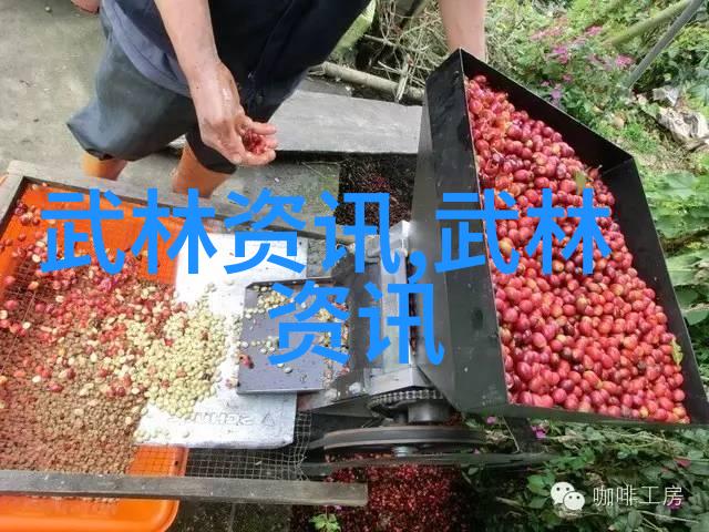 诗意纷飞探索那些带有诗意的公会名字背后的故事与魅力