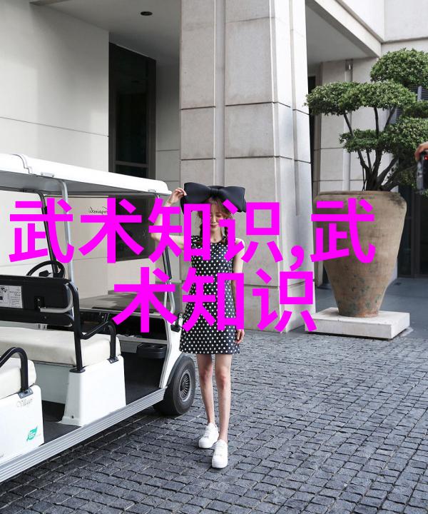 少儿散打武术训练培养孩子们的体能和自我防卫技能