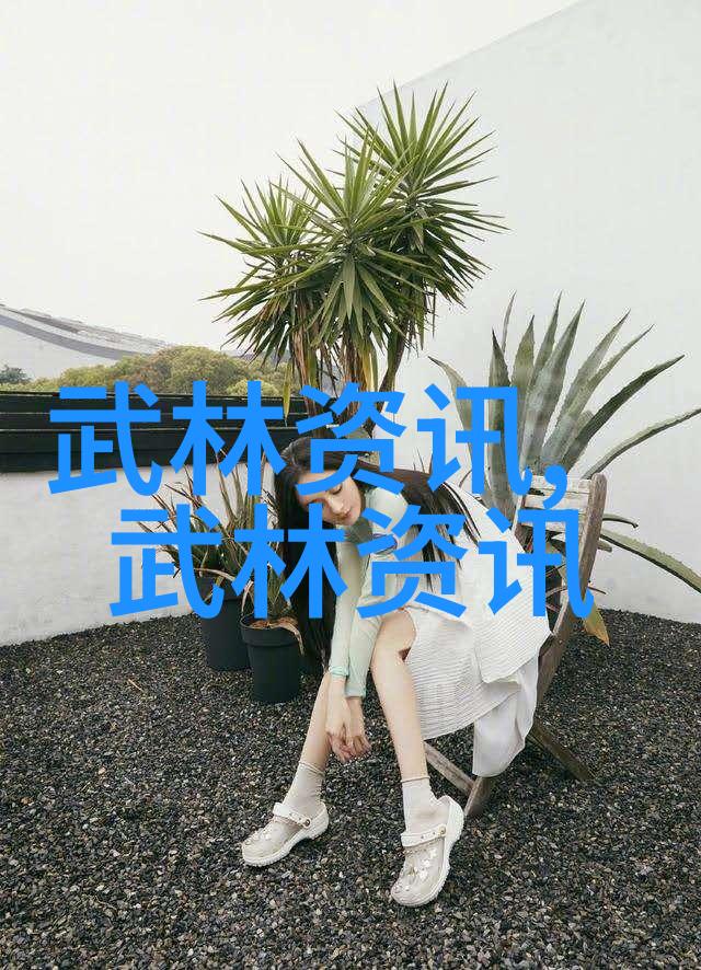 武功与武术的深邃区别探索中华文化中的内外兼修
