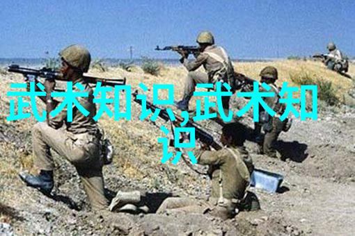 霸道门派腾挪架太极拳震撼武林