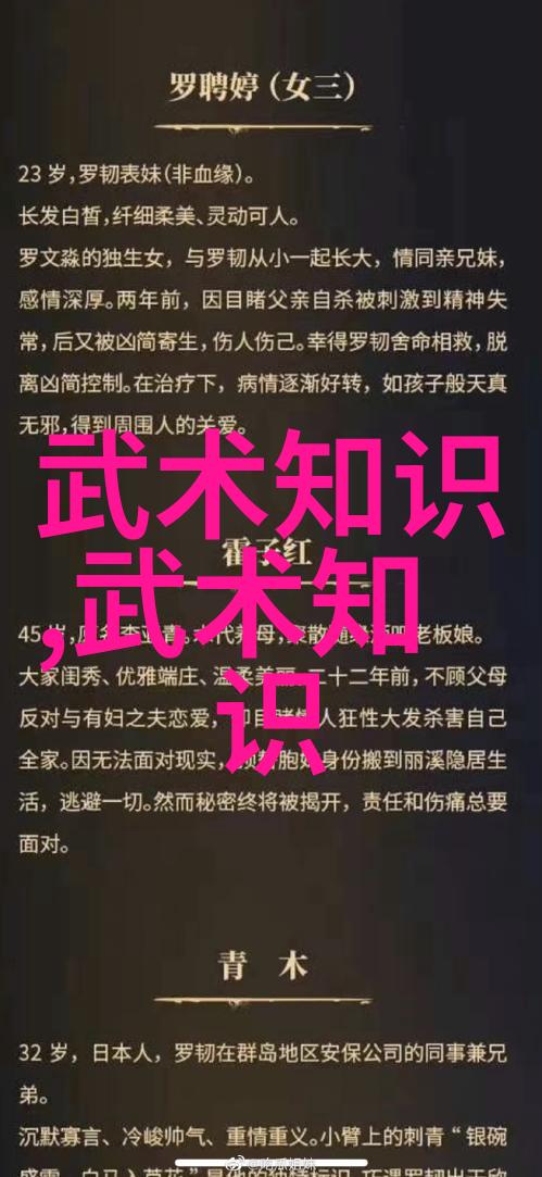 我想学功夫 - 梦想中的武林高手