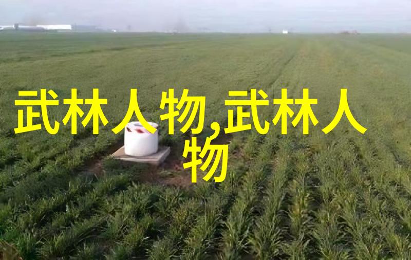 菲格雷多与莫雷诺的MMA对决犹如阿里与弗雷泽在自然之中展开的业余拳击盛宴
