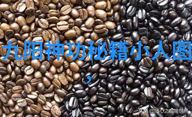 武林秘籍大全探索古今中医内丹修炼之道与神功秘法的学术研究
