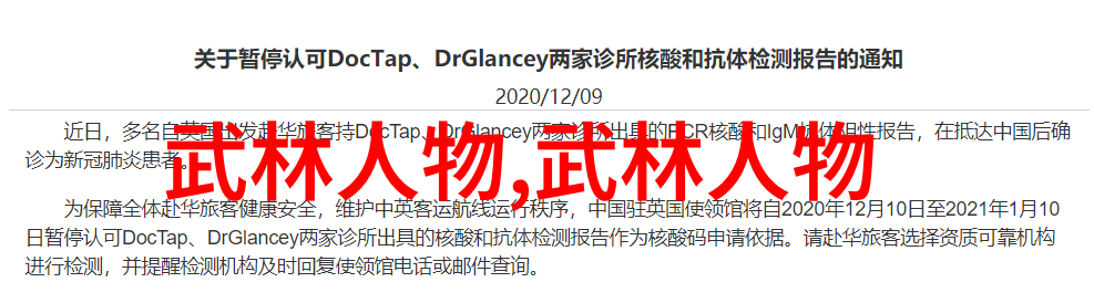 中国功夫秘籍大全太极拳猫形步练法详解