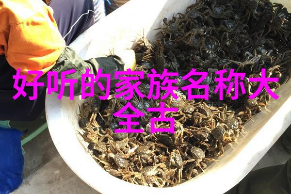 玄幻各种剑法名称大全我是如何掌握万宝剑谱的