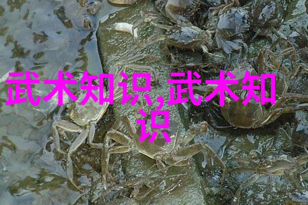全运会女子跳水场上梦之队二线阵容如同天籁之音般回荡6面金牌如同璀璨星辰一举夺得赛场的每一个角落