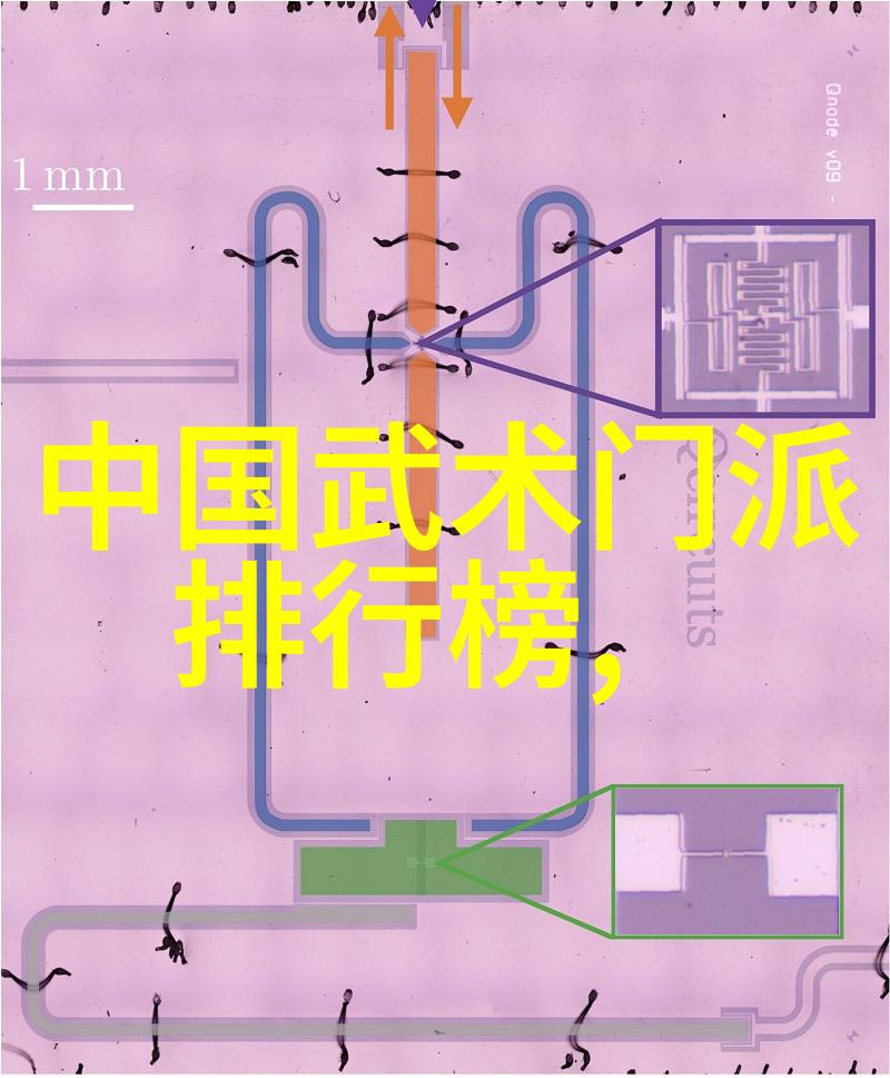 中国武术盛世海下弹腿拳种辉煌