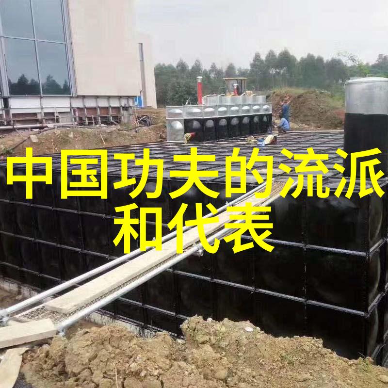 武道高深修炼境界之谜解析