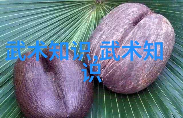 好听帮派古风名字仙气一点-寻觅江湖古风帮派名号的传说与魅力