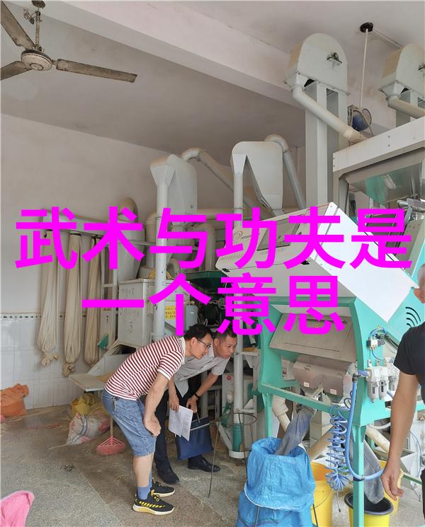 古代武功秘籍口诀左脚尖手挥琵琶高歌破空