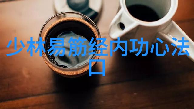 中国最有实战性的功夫左脚尖舞手挥琵琶高潮