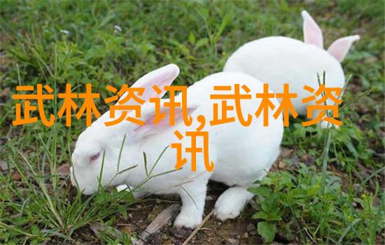 中国功夫门派实战排名中的叶式太极拳犹如一位柔情似水的女子用其优雅的姿势和深邃的内力轻松地征服了每一个