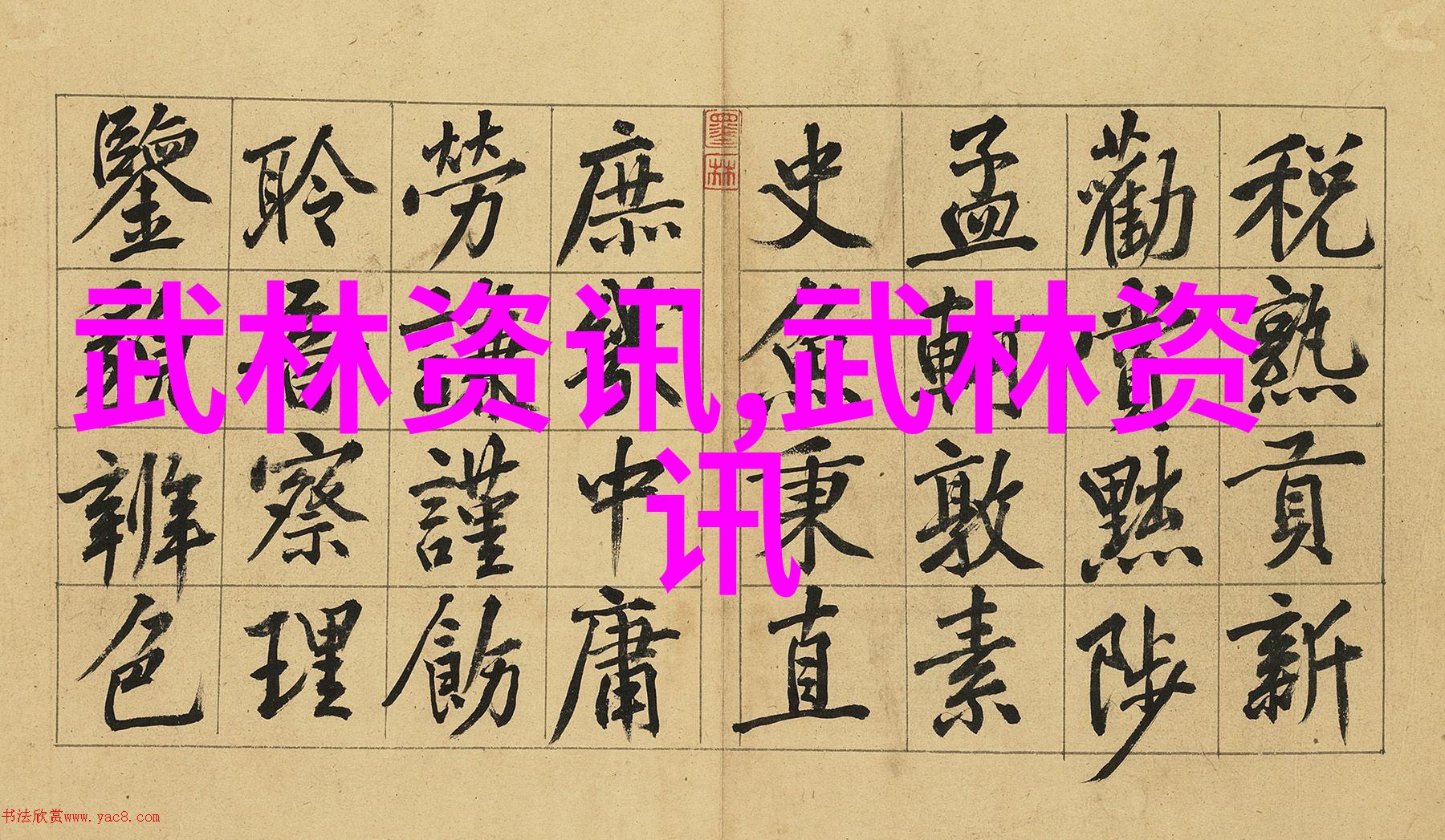 虚实分辨大师吴文翰张全亮赵幼斌的身法秘籍解密