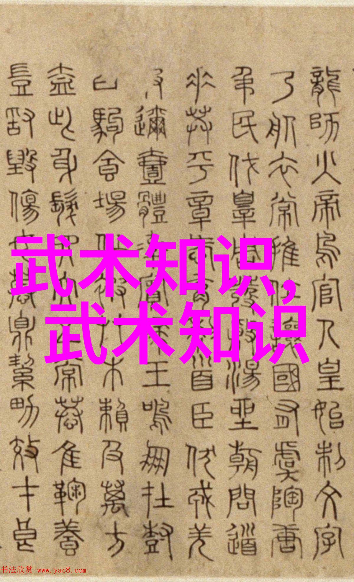 武林秘籍招式大全带图内含古老武功秘籍详解与精美动态图示