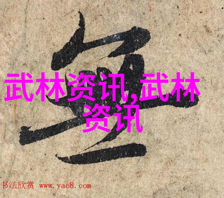 了解少林武功秘籍大全中修炼心法的正确方法