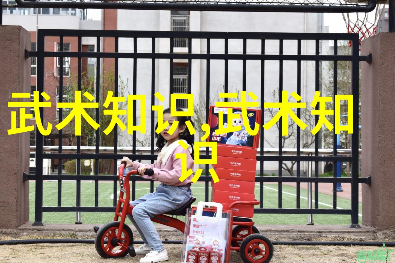 尚武精神春节之前上海斌心学校第七届演武大会有感