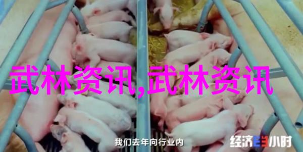 浪漫的帮派女儿们的音符之旅