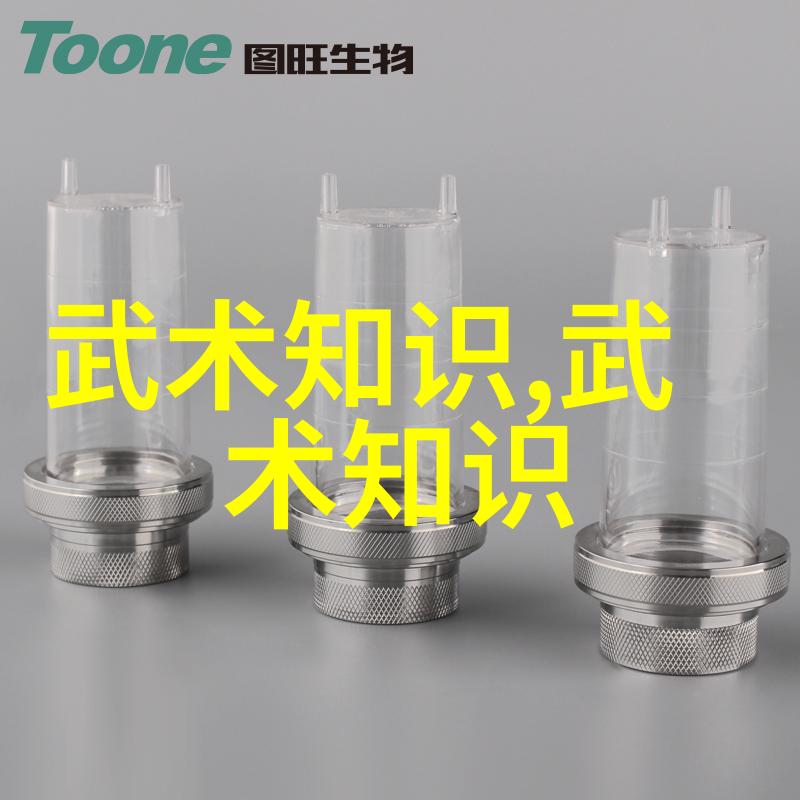 小叔子的话语背后的家族故事奶奶的身影与我们心中的大房子