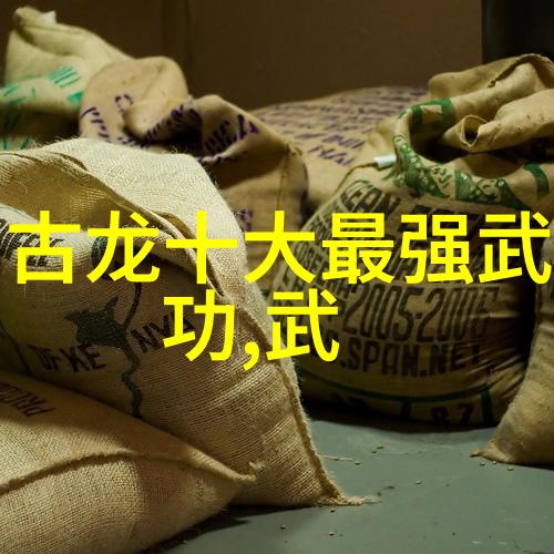 武当游氏丹道太极拳古风诗意联盟的传承之器
