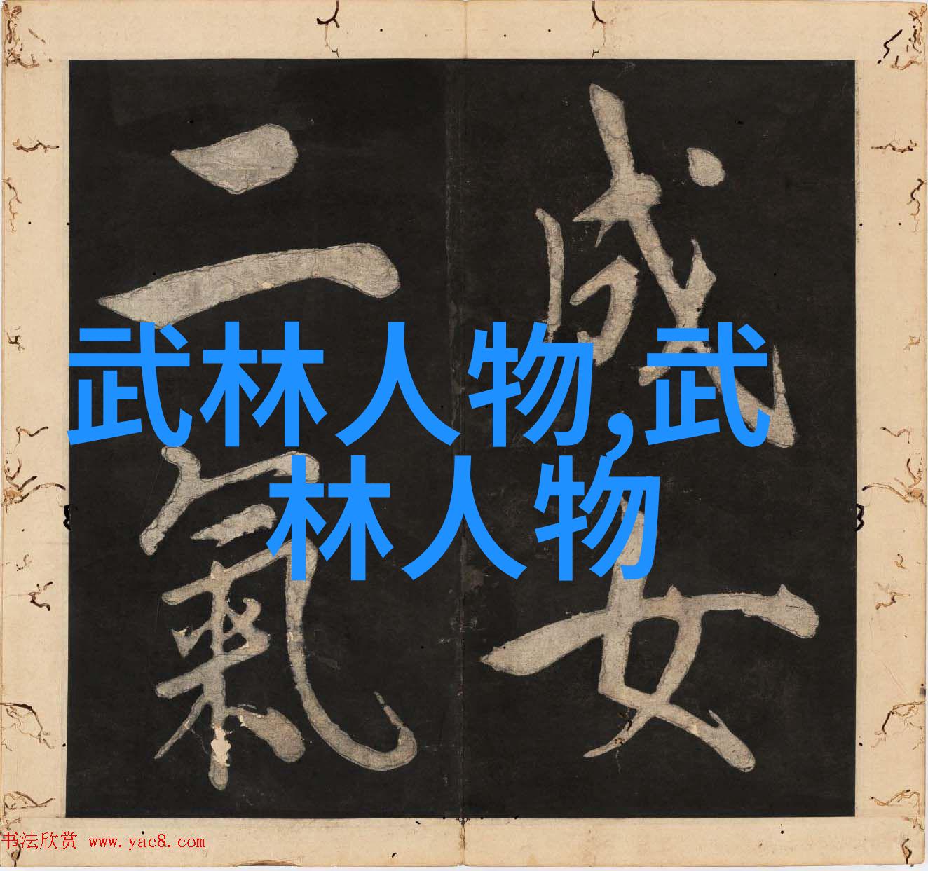 第四届世界杯散打比赛 参赛选手于飞彪多图