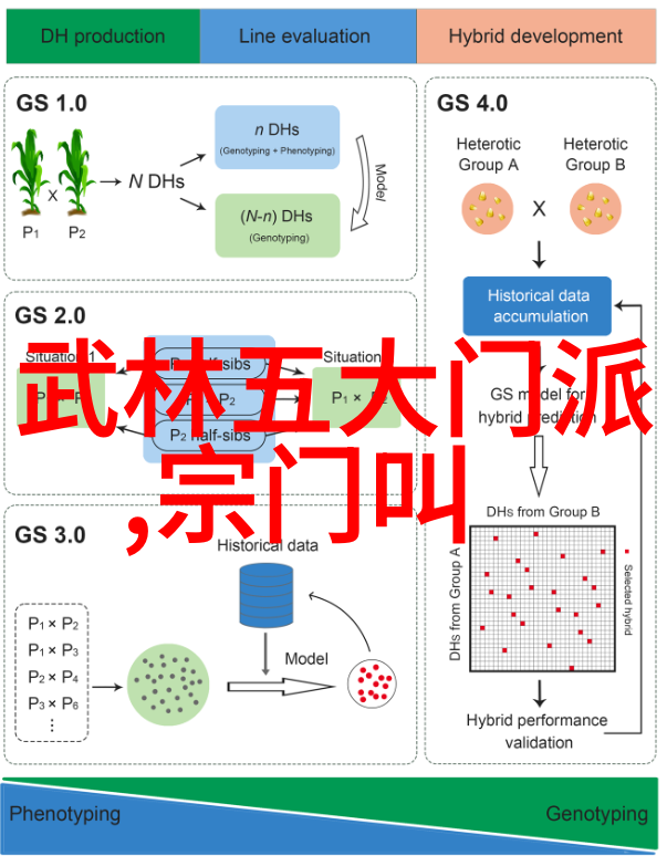 中国武术十大拳法排名研究探究传统与实战之谜