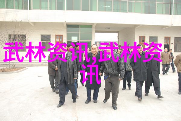 武术技巧-揭秘十三式太极拳分解动作探索内在力量与外在形式