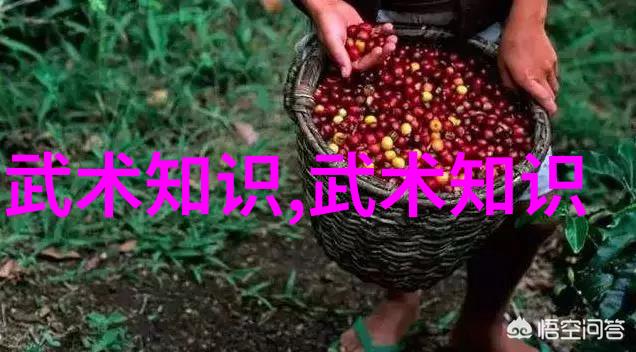 北京9名驴友迷失棋盘山被民警村民顺利救出