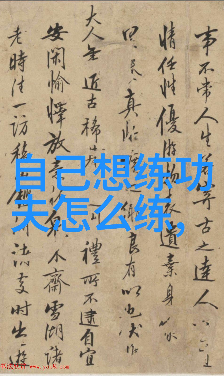 太极拳口令全套探索24式内在奥义