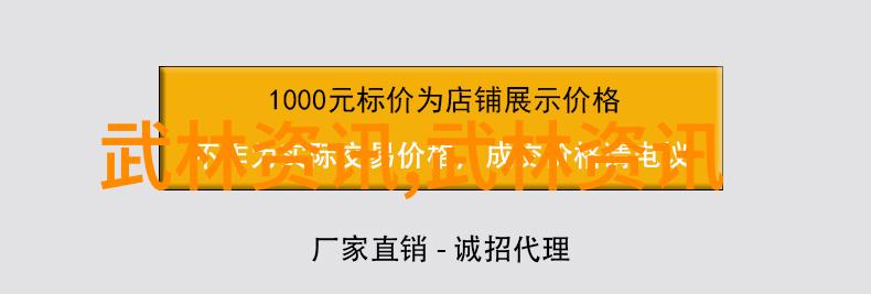 秘笈藏剑湖南武术门派的末日