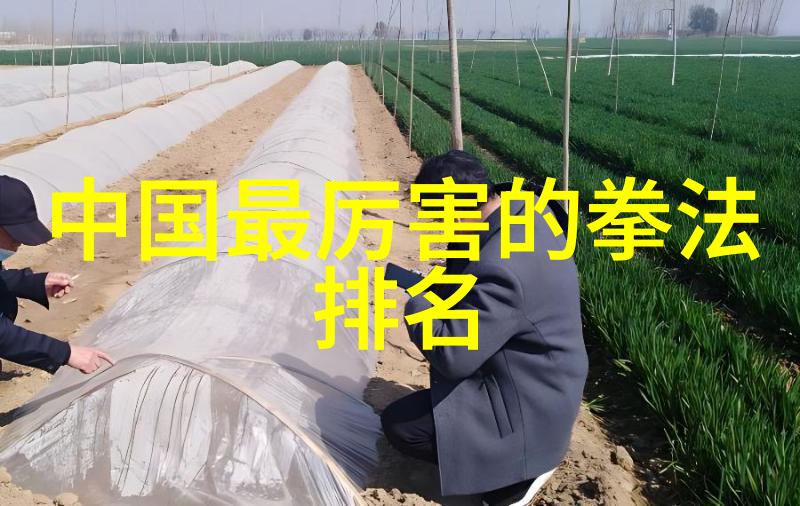 少林最厉害的拳法 - 古老武学揭秘少林寺中的绝技