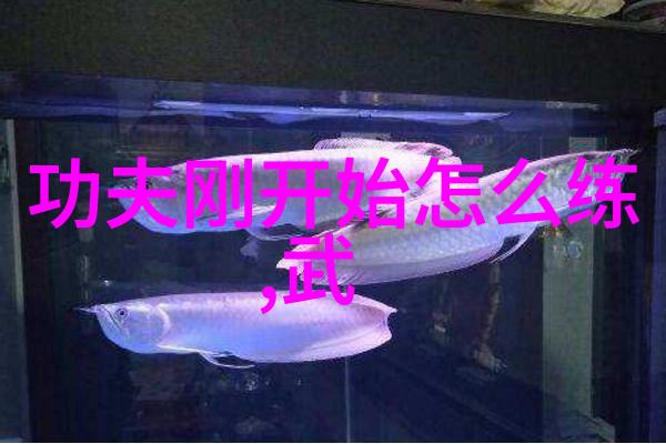 拳破天穹从街头闲逛到武林高手的自学武术奇迹