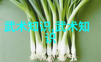 射雕英雄传中的少林寺如何塑造了一个传奇般的武林象征