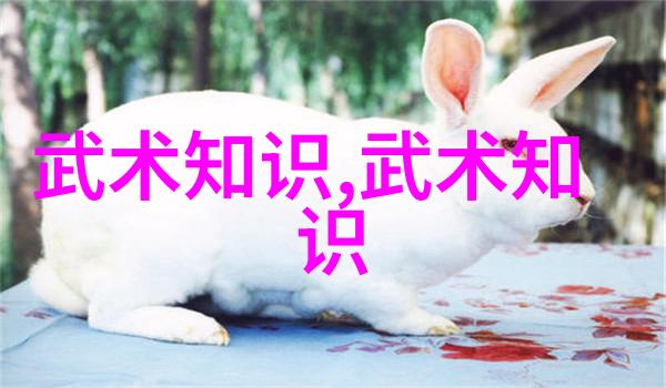 试炼身心的艺术深入浅出解读横练技巧与策略