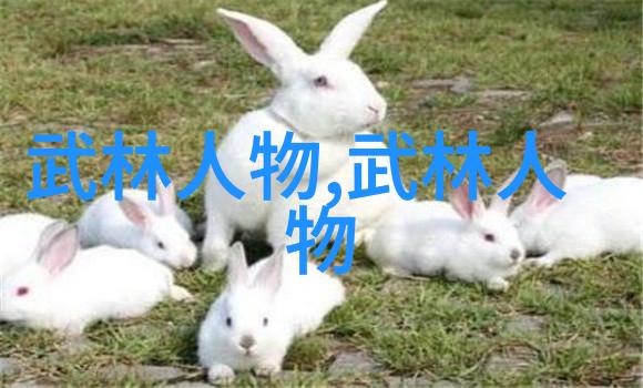 武林十大门派名字-江湖荣耀揭秘武林十大门派的传奇往事