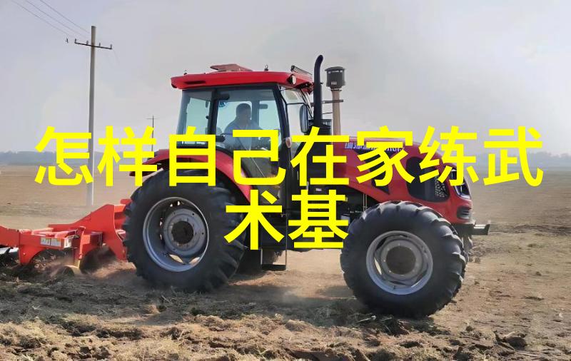 武术入门基础拳法技巧掌握初级武术拳法