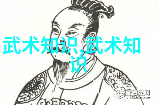 武林秘籍大全古今武学之源流