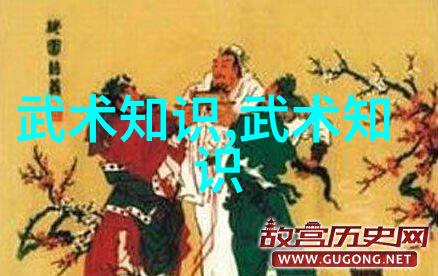 全球十大帮派中的武当松溪神意派内家拳之巅
