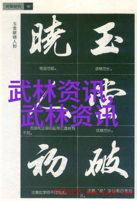 自学八极拳的成功之道掌握传统武术与现代学习方法的结合