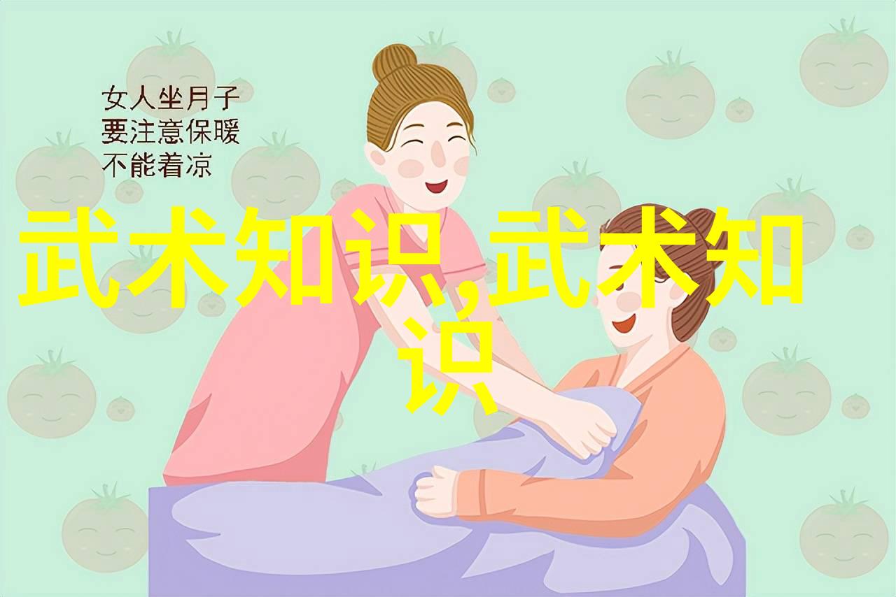 拳影十二式武林秘诀的源流