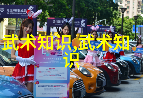武林秘籍招式大全带图古老武学技巧详解与实战演练