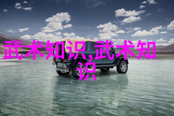 现存的门派-探索中国武术现存门派的传统与实践