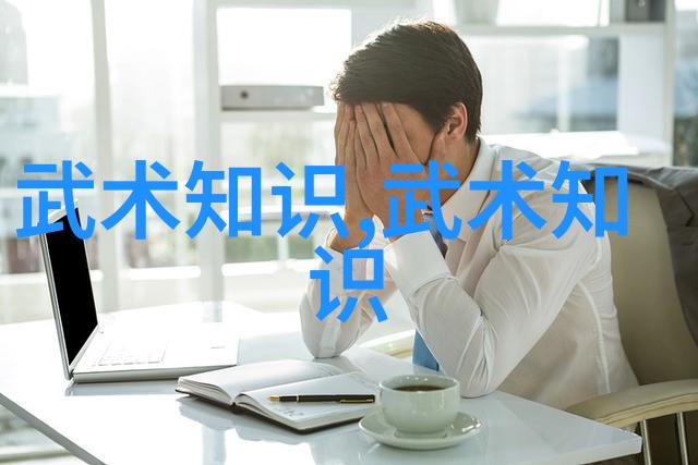 深入浅出的大师级技艺各路名家对传统武学的贡献与创新