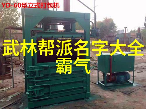 武林秘籍与街头斗鸡