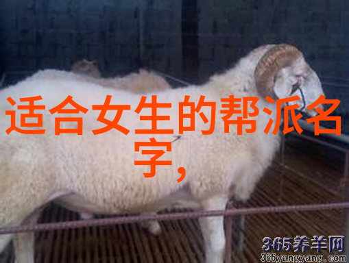 月光使者 遵循正义的和平卫士
