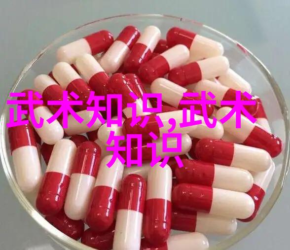 武术知识-古今武学传承与实战应用探究