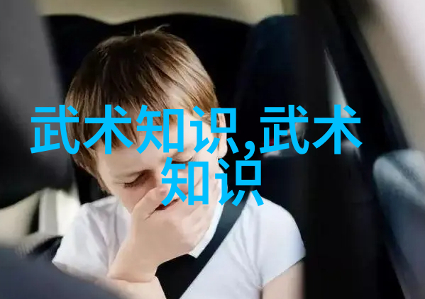 仙门秘笈武当游氏丹道太极拳如同江湖中的明珠璀璨夺目