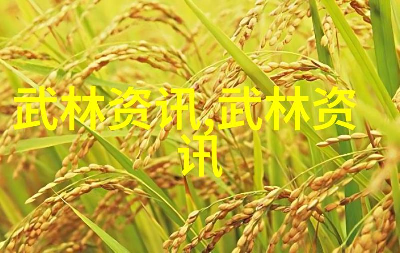 中国武术 - 中华武林辉煌揭秘中国最著名的十大武术流派