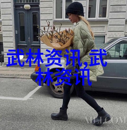 古法新用现代社会中中国最著名的武术流派如何适应变化