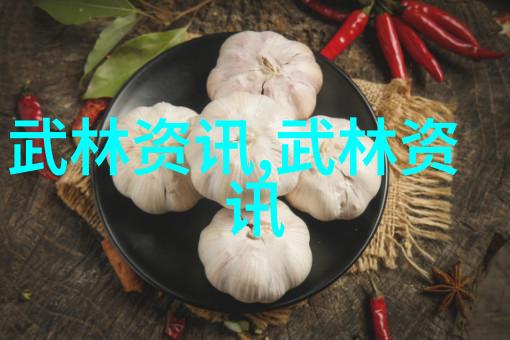 内外兼修探索太极拳24式的慢动作奥秘
