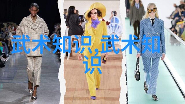 中国最著名的武术流派探索内功与外式技巧的传统精髓
